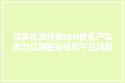 沈阳标准抖音SEO优化产品助力品牌在短视频平台脱颖而出