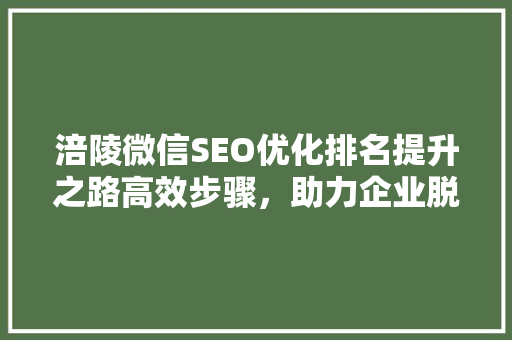 涪陵微信SEO优化排名提升之路高效步骤，助力企业脱颖而出