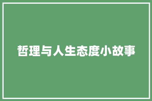 介绍e网络SEO优化,关键词布局的艺术与步骤  第1张