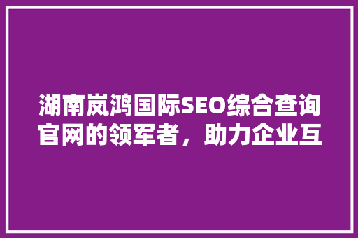 湖南岚鸿国际SEO综合查询官网的领军者，助力企业互联网营销新篇章