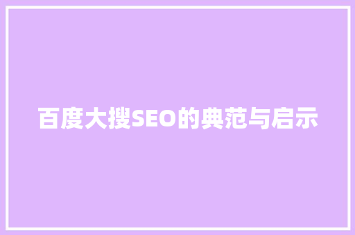百度大搜SEO的典范与启示