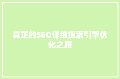 真正的SEO详细搜索引擎优化之路