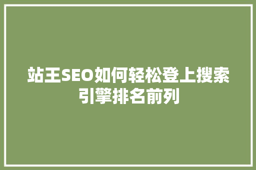 站王SEO如何轻松登上搜索引擎排名前列