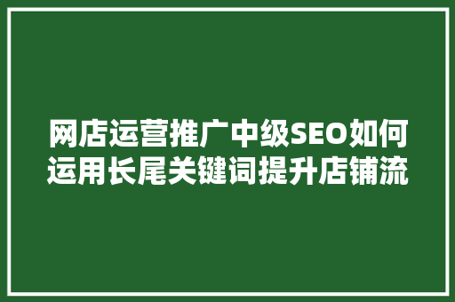网店运营推广中级SEO如何运用长尾关键词提升店铺流量与转化率