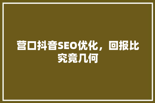 营口抖音SEO优化，回报比究竟几何