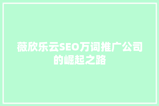 薇欣乐云SEO万词推广公司的崛起之路