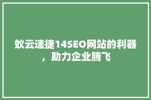 蚁云速捷14SEO网站的利器，助力企业腾飞
