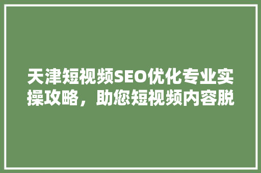 天津短视频SEO优化专业实操攻略，助您短视频内容脱颖而出