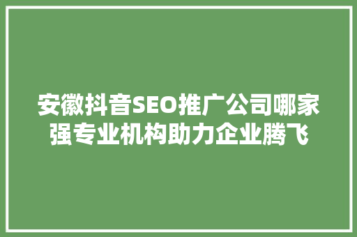 安徽抖音SEO推广公司哪家强专业机构助力企业腾飞