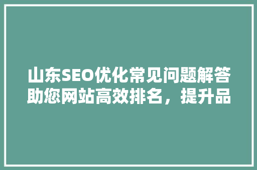 山东SEO优化常见问题解答助您网站高效排名，提升品牌影响力