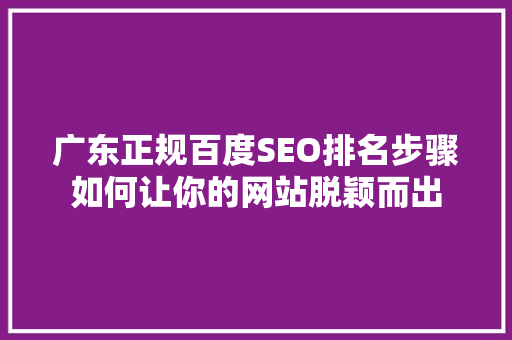 广东正规百度SEO排名步骤如何让你的网站脱颖而出