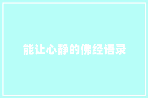 广西抖音SEO搜索推广助力企业品牌崛起的秘密武器