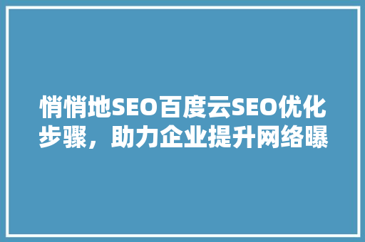 悄悄地SEO百度云SEO优化步骤，助力企业提升网络曝光度