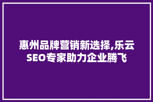 惠州品牌营销新选择,乐云SEO专家助力企业腾飞