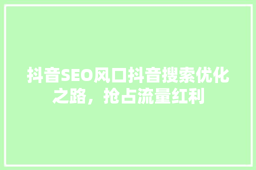 抖音SEO风口抖音搜索优化之路，抢占流量红利