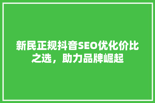 新民正规抖音SEO优化价比之选，助力品牌崛起