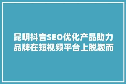 昆明抖音SEO优化产品助力品牌在短视频平台上脱颖而出