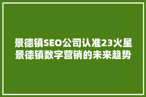 景德镇SEO公司认准23火星景德镇数字营销的未来趋势  第1张