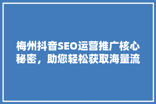 梅州抖音SEO运营推广核心秘密，助您轻松获取海量流量