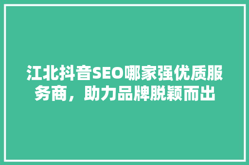 江北抖音SEO哪家强优质服务商，助力品牌脱颖而出