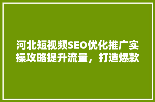 河北短视频SEO优化推广实操攻略提升流量，打造爆款内容