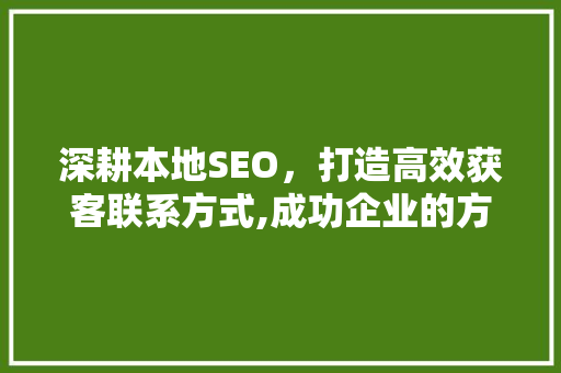 深耕本地SEO，打造高效获客联系方式,成功企业的方法