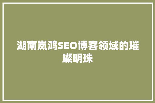 湖南岚鸿SEO博客领域的璀璨明珠