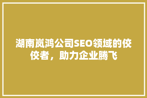 湖南岚鸿公司SEO领域的佼佼者，助力企业腾飞