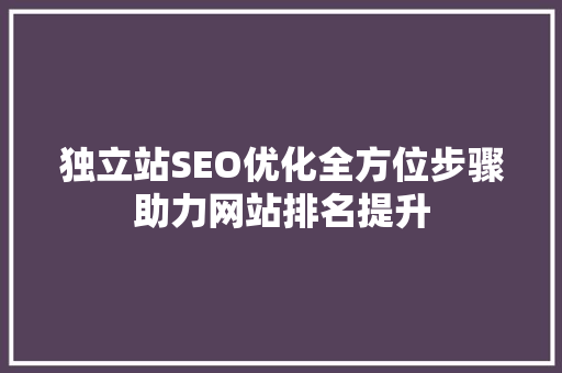 独立站SEO优化全方位步骤助力网站排名提升