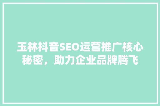 玉林抖音SEO运营推广核心秘密，助力企业品牌腾飞
