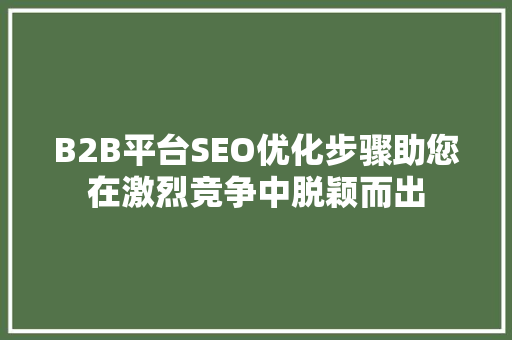 B2B平台SEO优化步骤助您在激烈竞争中脱颖而出