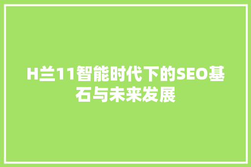 H兰11智能时代下的SEO基石与未来发展