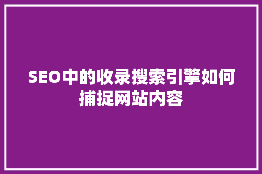 SEO中的收录搜索引擎如何捕捉网站内容