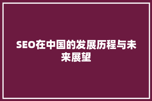 SEO在中国的发展历程与未来展望