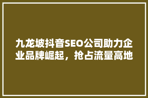 九龙坡抖音SEO公司助力企业品牌崛起，抢占流量高地