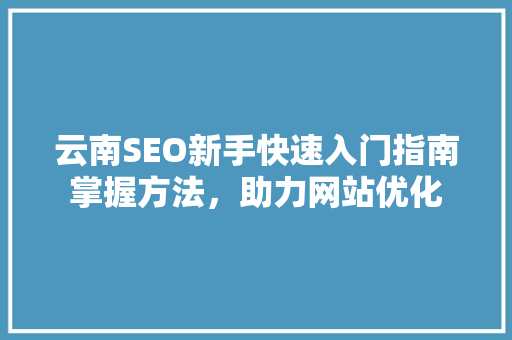 云南SEO新手快速入门指南掌握方法，助力网站优化