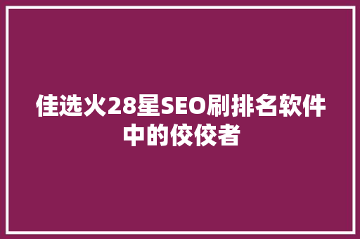 佳选火28星SEO刷排名软件中的佼佼者
