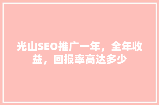 光山SEO推广一年，全年收益，回报率高达多少