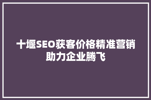 十堰SEO获客价格精准营销助力企业腾飞