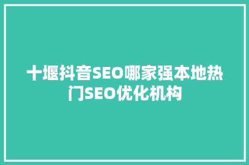 十堰抖音SEO哪家强本地热门SEO优化机构