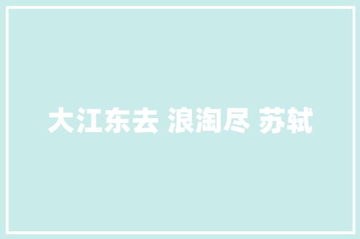 十年深耕，乐云SEO助力武汉全网推广之路