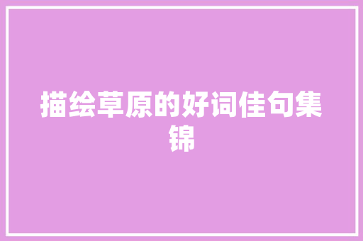 千城千站SEO智能优化工具助力企业网络营销新篇章