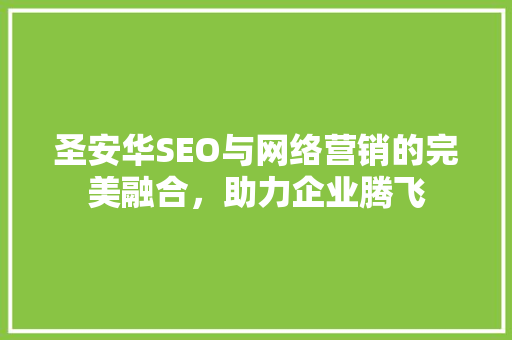 圣安华SEO与网络营销的完美融合，助力企业腾飞