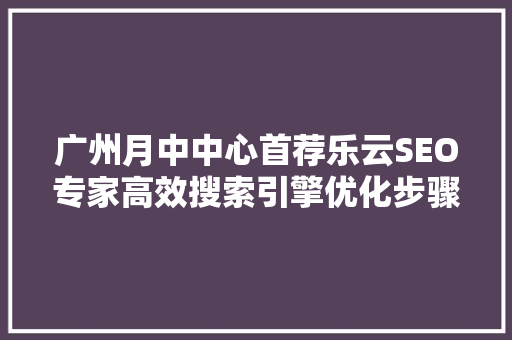 广州月中中心首荐乐云SEO专家高效搜索引擎优化步骤