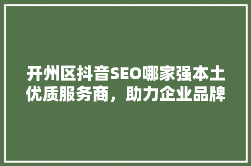 开州区抖音SEO哪家强本土优质服务商，助力企业品牌腾飞