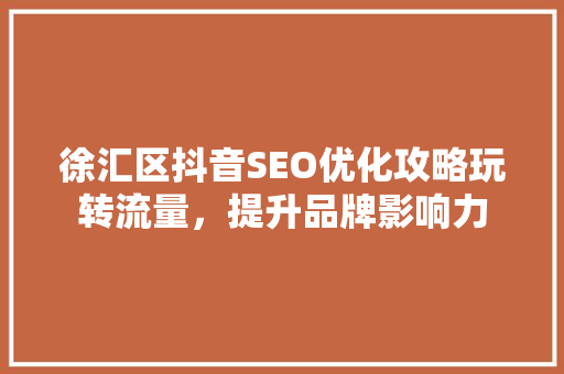 徐汇区抖音SEO优化攻略玩转流量，提升品牌影响力