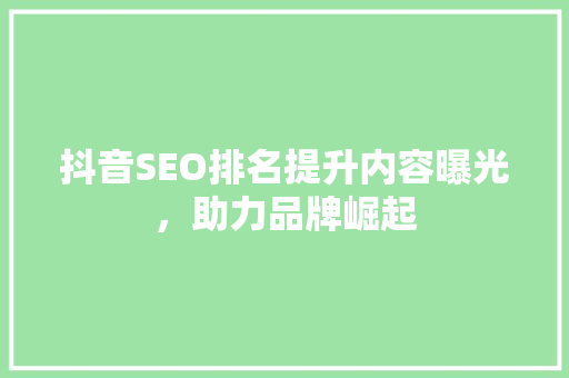 抖音SEO排名提升内容曝光，助力品牌崛起
