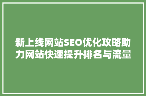 新上线网站SEO优化攻略助力网站快速提升排名与流量