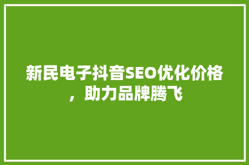 新民电子抖音SEO优化价格，助力品牌腾飞