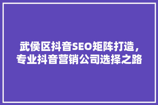 武侯区抖音SEO矩阵打造，专业抖音营销公司选择之路